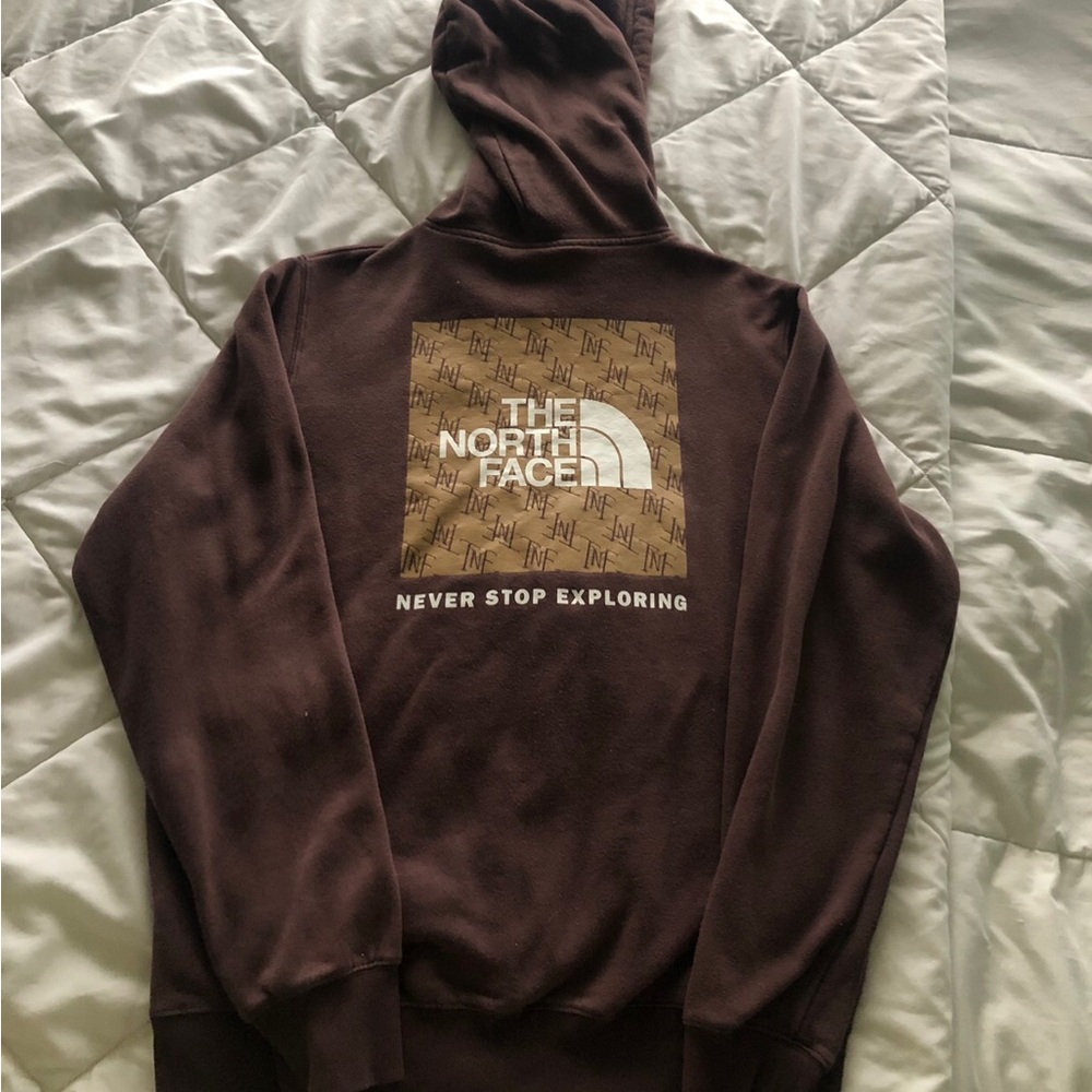 The North Face Brown Hoodie